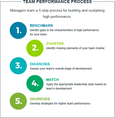 Leadership Style And Team Performance On Different